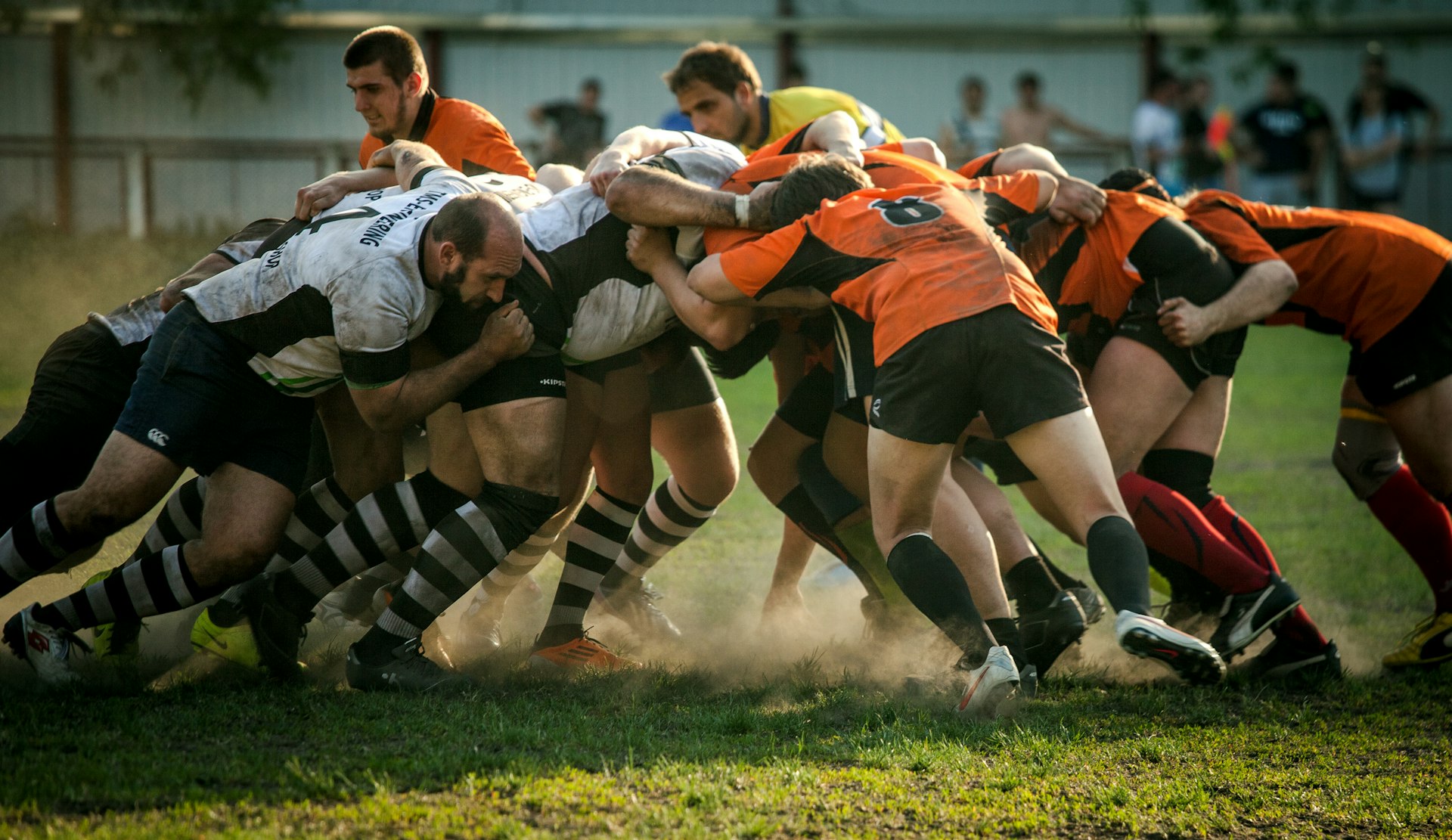 How Team Cohesion Drives Success: Practical Strategies for High-Performing Organizations