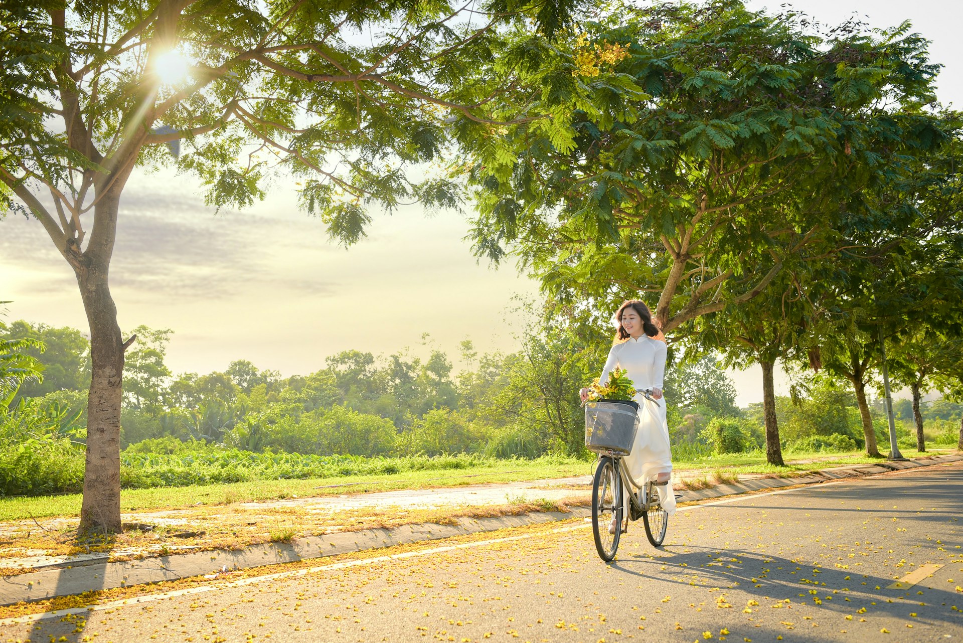 Building a Sustainable Career: Practical Lifestyle Choices for a Greener Future