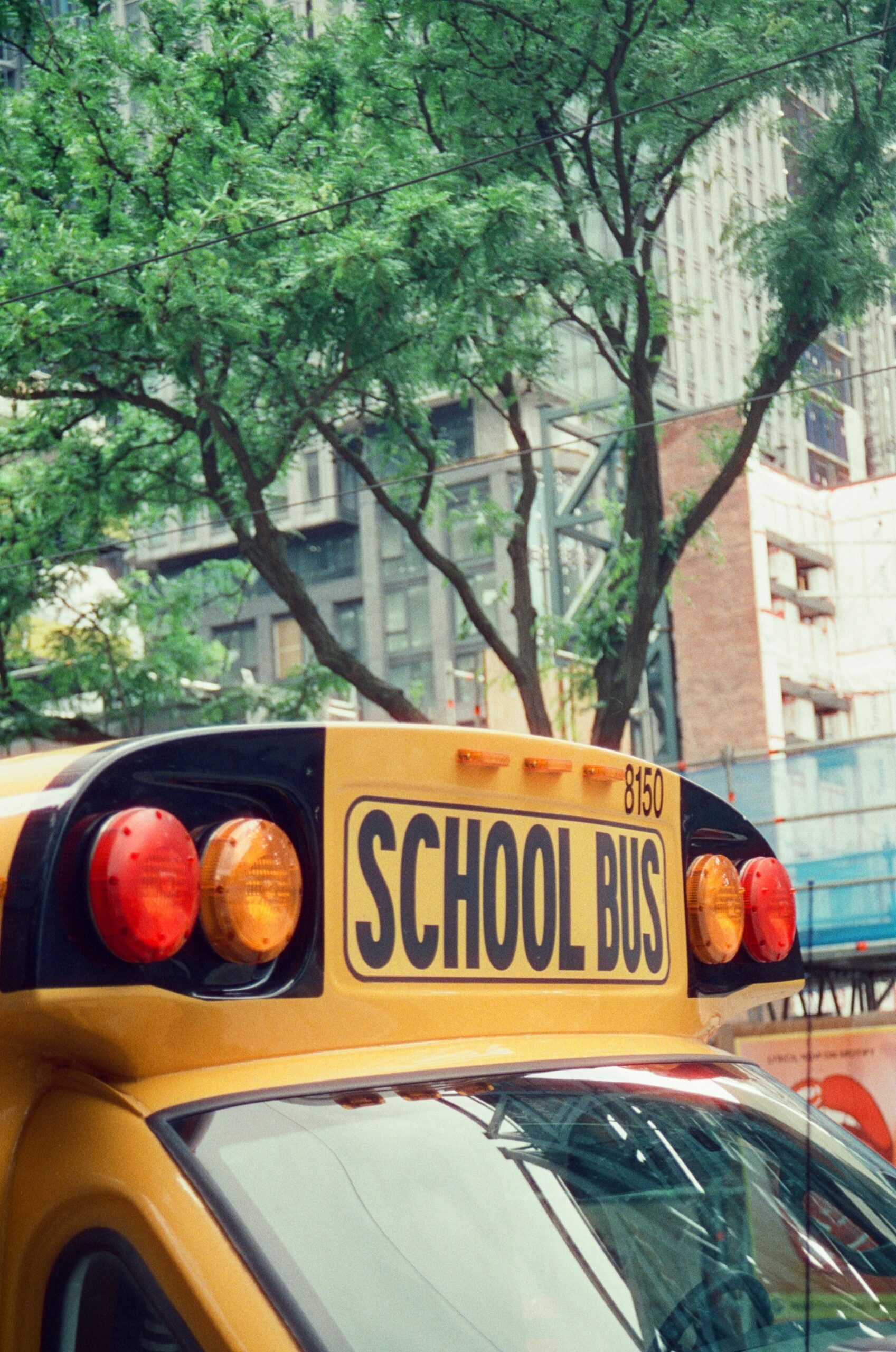 Maximizing Student Potential: What to Know About Career Day in School