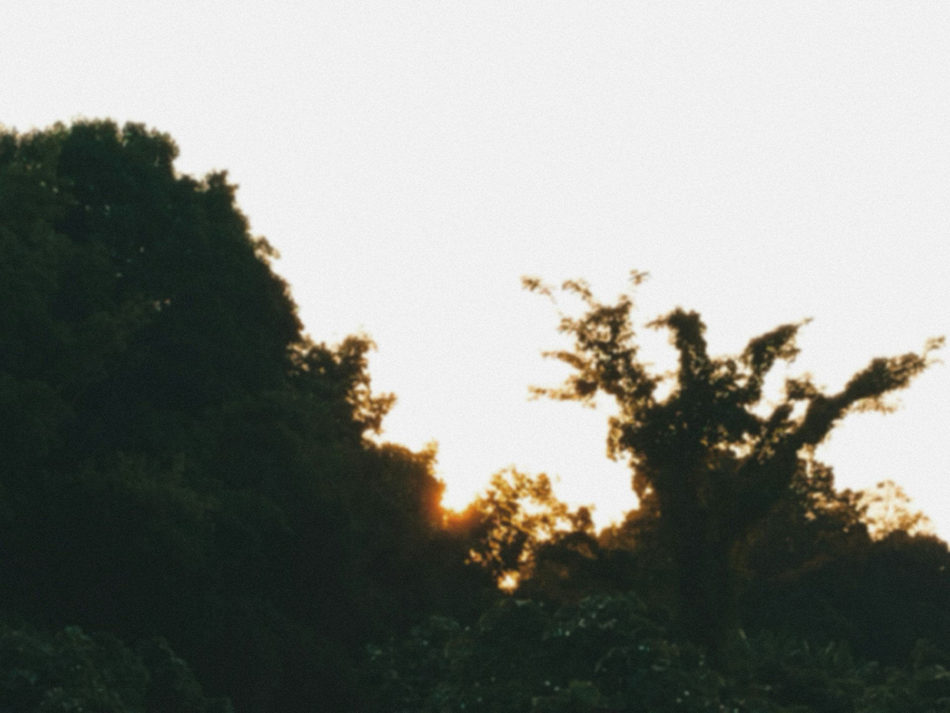 Understanding Environmental Science: Principles, Applications, and Pathways to Impact